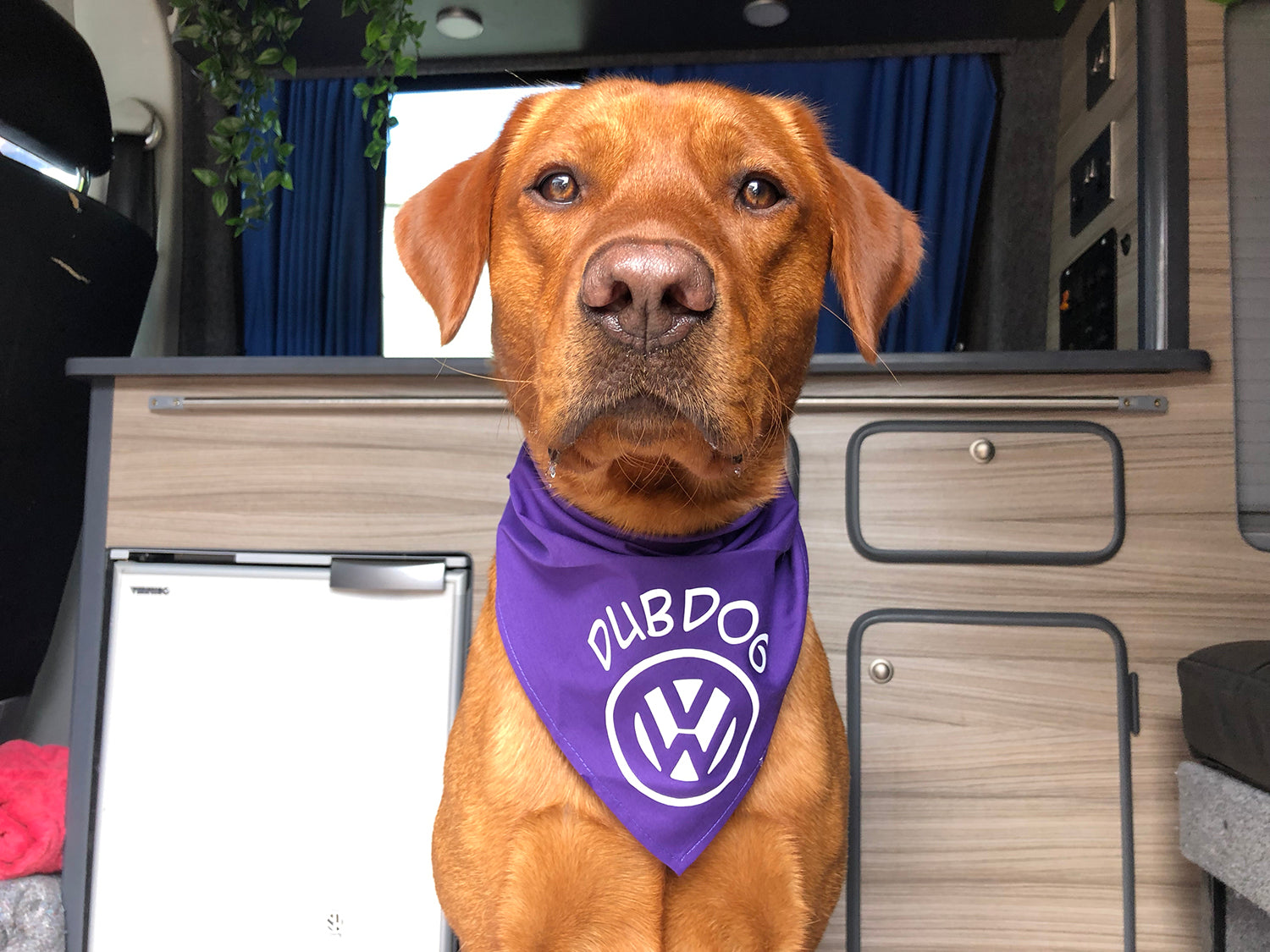 Dubdog Camper Bandanas 🐾🚐