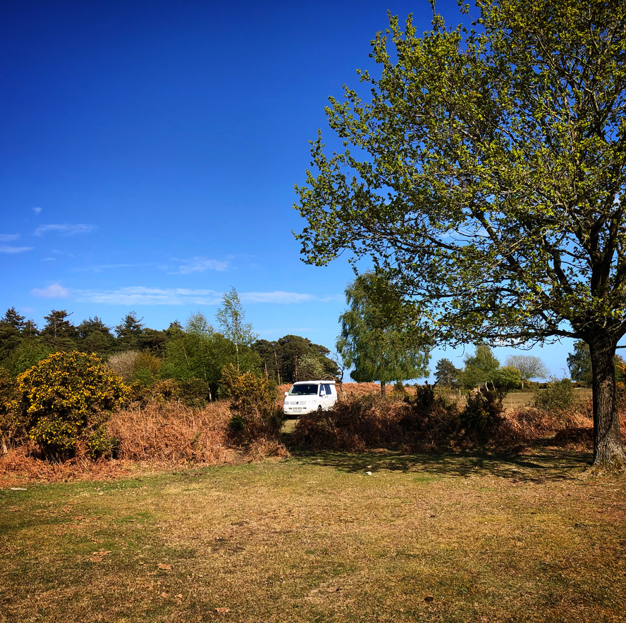 Campervan in the New Forest